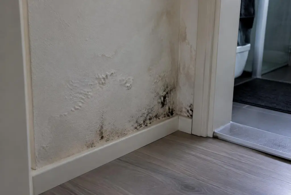 Lekdetectie Nijverdal – vochtplek met schimmel op een muur